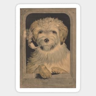 Vintage dog smoking a pipe Sticker